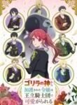 Gorilla-no-Kami-Todos-os-Episodios-Online-Goyabu.jpg