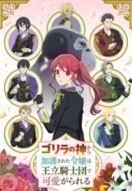 Gorilla-no-Kami-Todos-os-Episodios-Online-Goyabu.jpg