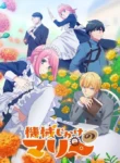 Kikaijikake-no-Marie-Todos-os-Episodios-Online-Goyabu.webp
